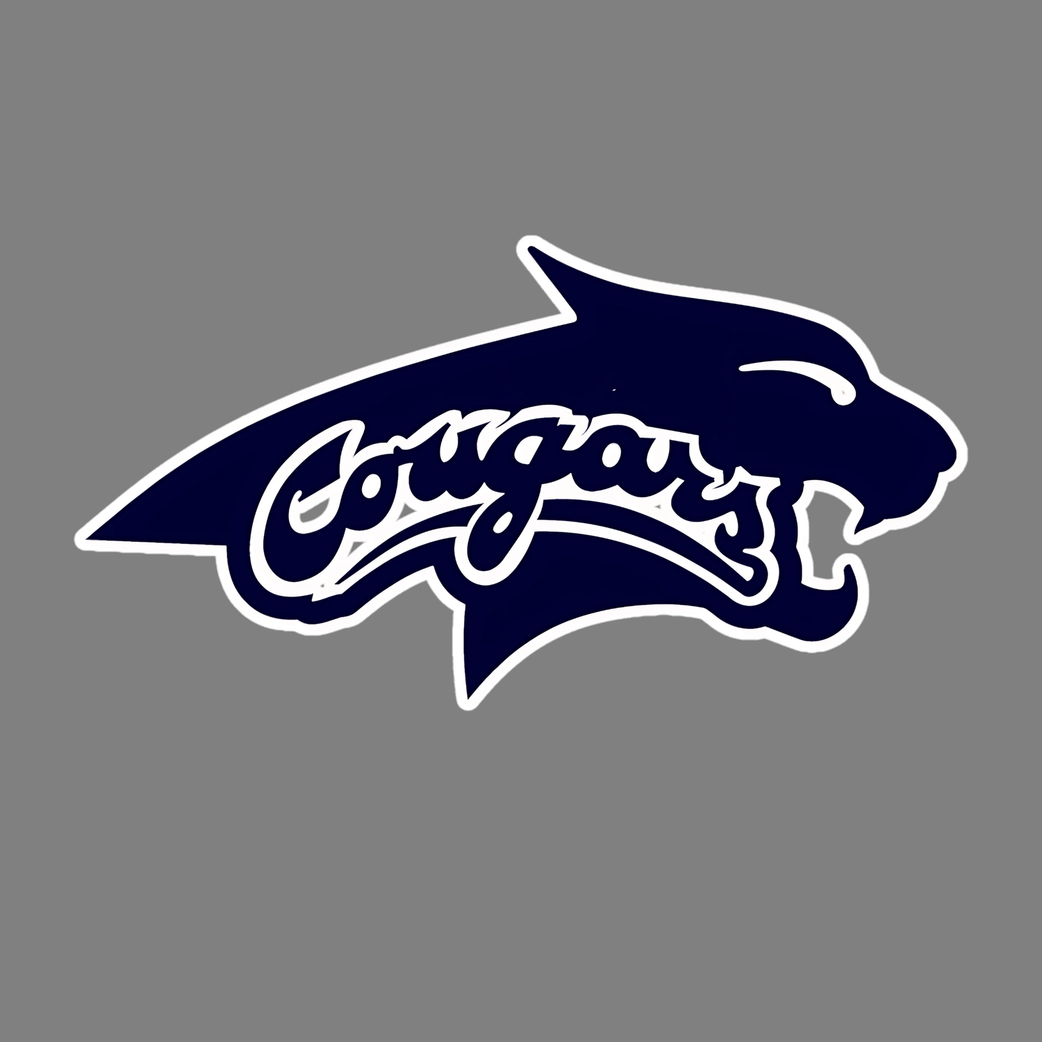 Calverton Basketball